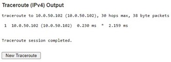 Figure 4.9 Example of traceroute (IPv4) output