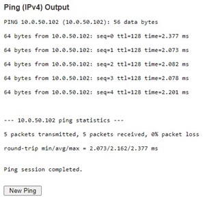 Figure 4.3 Result of successful IPv4 ping